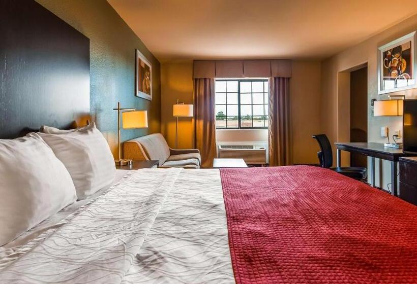 Люкс Кровать Кинг, Best Western Plus The Woodlands