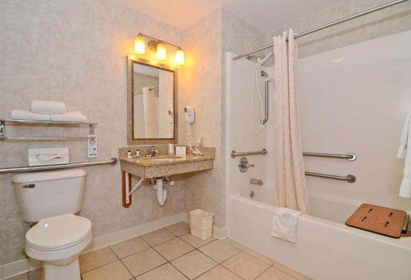 Номер Стандарт Кровать Кинг Адаптированный для Инвалидов, Best Western Wittenberg Inn