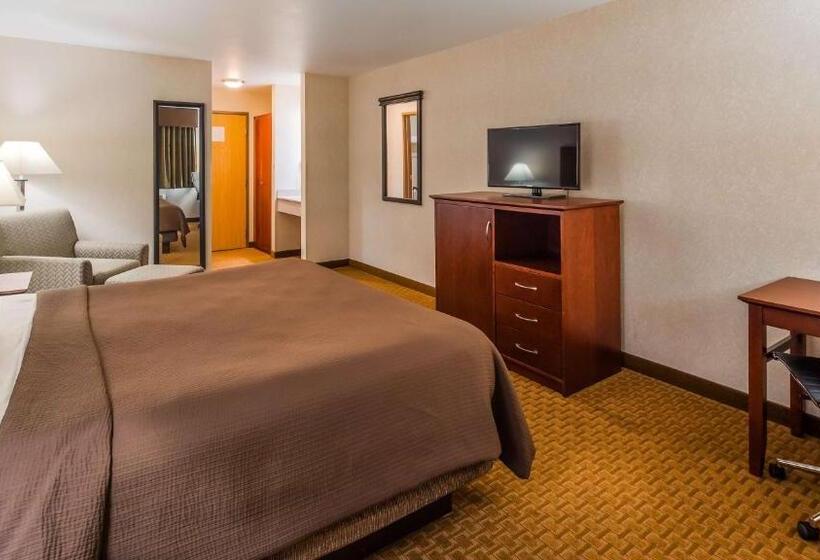 Номер Стандарт Адаптированный для Инвалидов, Best Western Wittenberg Inn