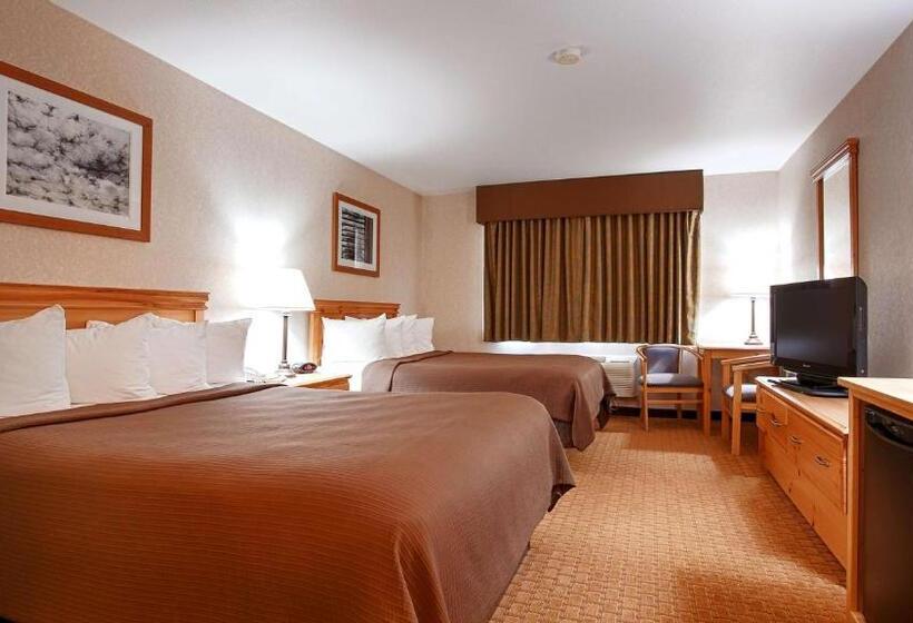 Номер Стандарт Адаптированный для Инвалидов, Best Western Wittenberg Inn