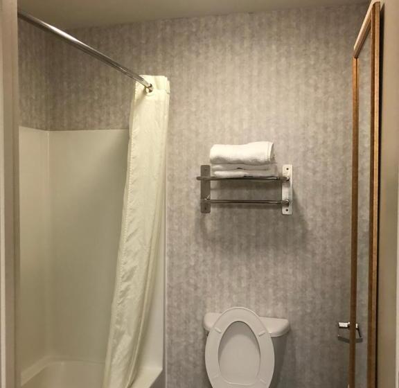 Люкс 2 Спальни, Millennium Inn