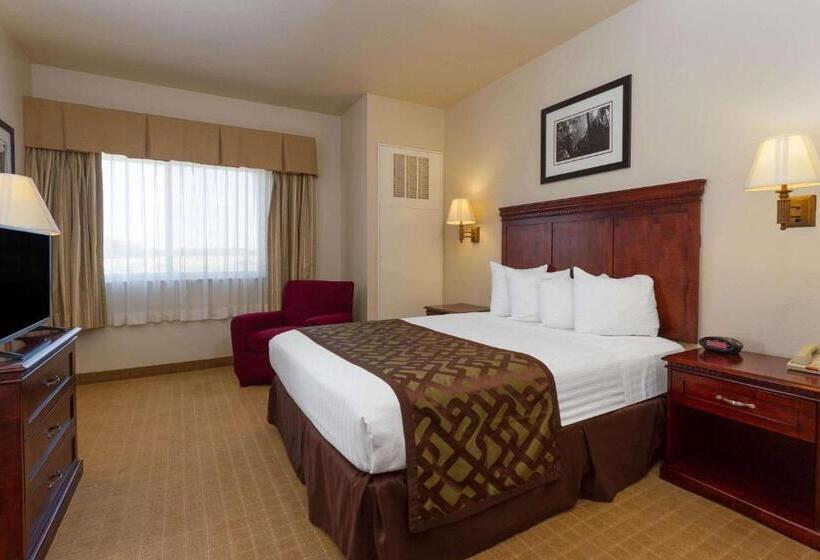 Номер Стандарт Кровать Кинг Адаптированный для Инвалидов, Montcler Hotel & Conference Center, Trademark By Wyndham