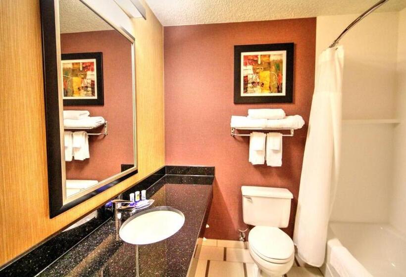 اتاق استاندارد با تخت بزرگ, Fairfield Inn Boise Airport