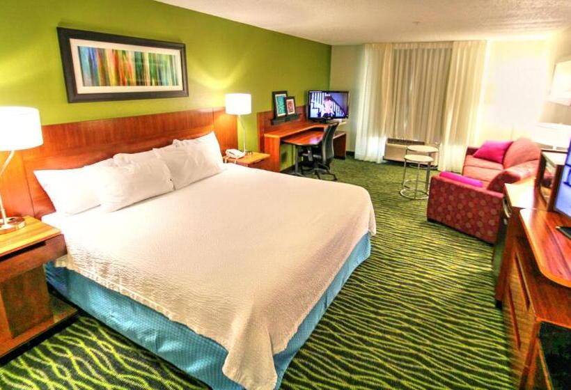 اتاق استاندارد با تخت بزرگ, Fairfield Inn Boise Airport