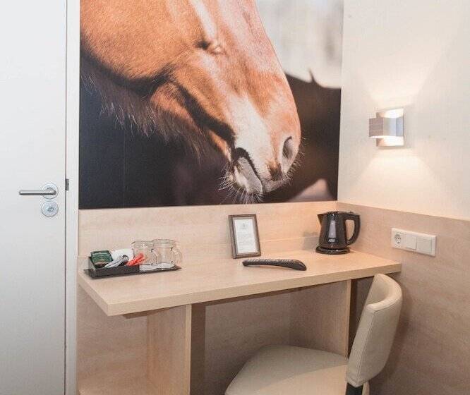اتاق عادی, Iron Horse Amsterdam
