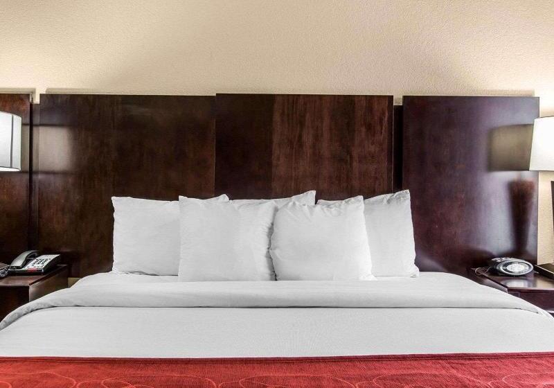 Люкс Кровать Кинг, Comfort Suites