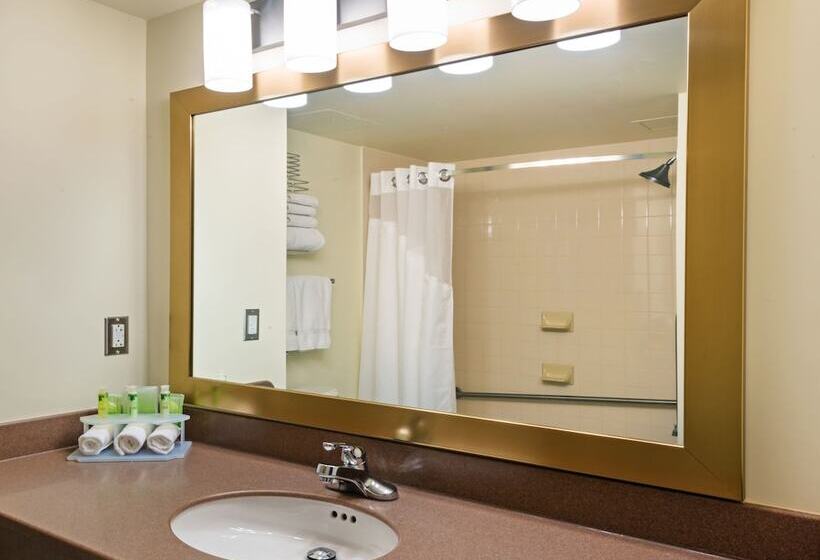 스탠다드 룸, Holiday Inn Express Deer Lake, An Ihg