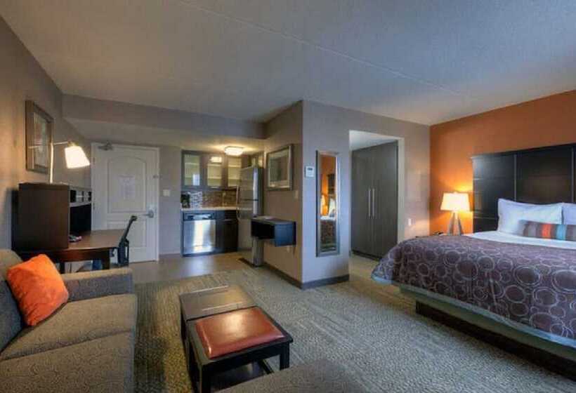 استودیوی استاندارد, Staybridge Suites Hamilton   Downtown, An Ihg