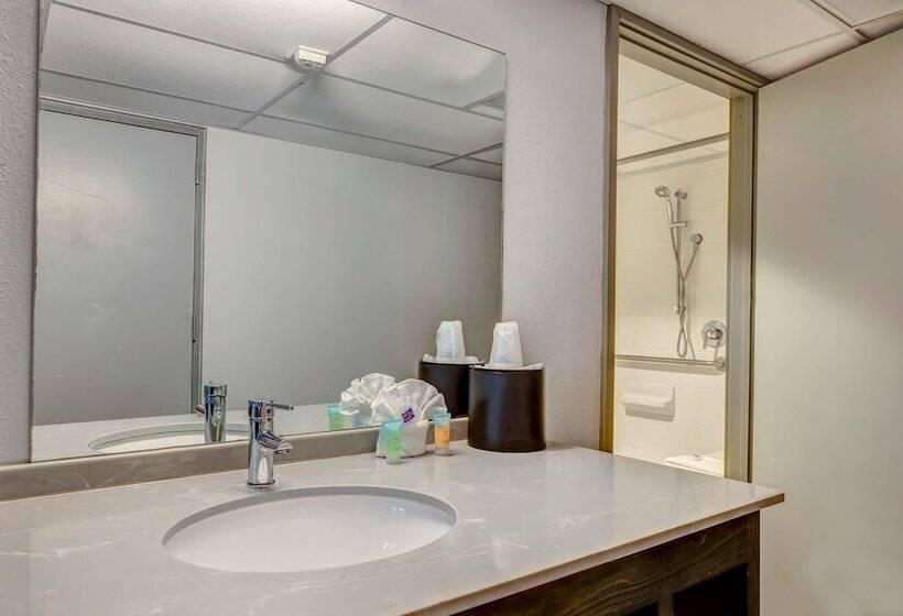스탠다드 룸 더블 침대 2개, Motel 6 Arlington Tx Entertainment District