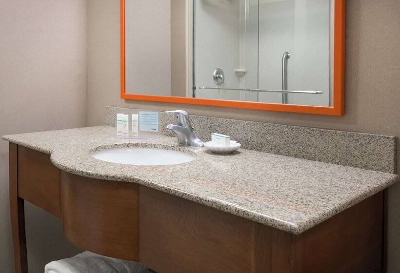 اتاق استاندارد با تخت دوبل, Hampton Inn Springfield South Enfield