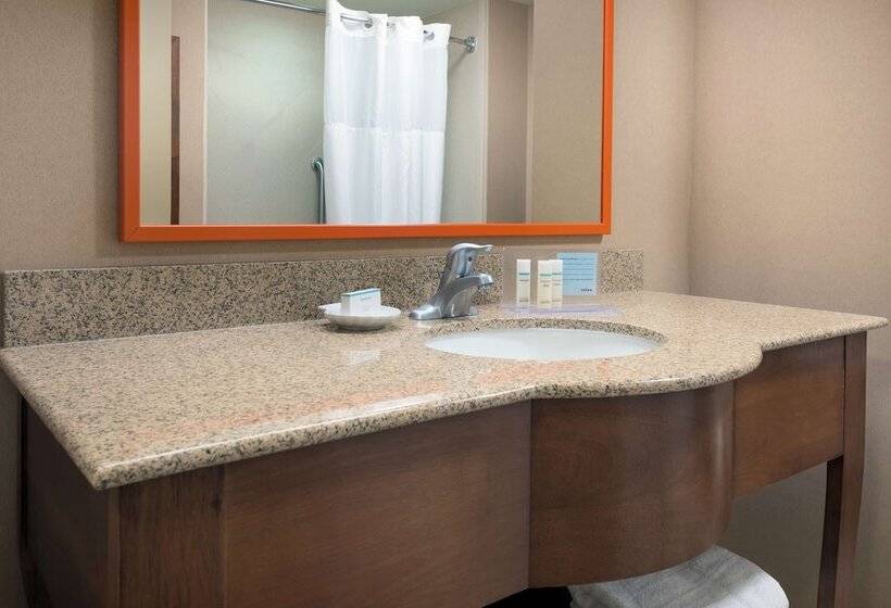 اتاق استاندارد با تخت دوبل, Hampton Inn Springfield South Enfield