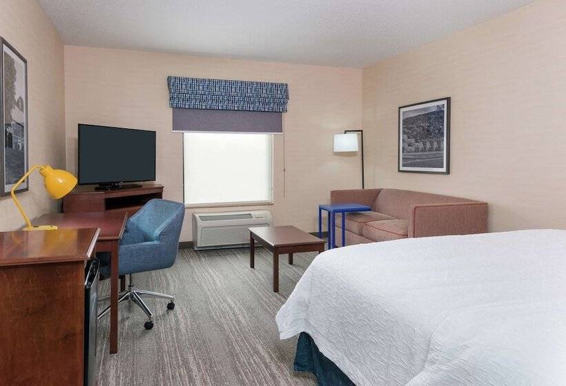 اتاق استاندارد با تخت دوبل, Hampton Inn Springfield South Enfield