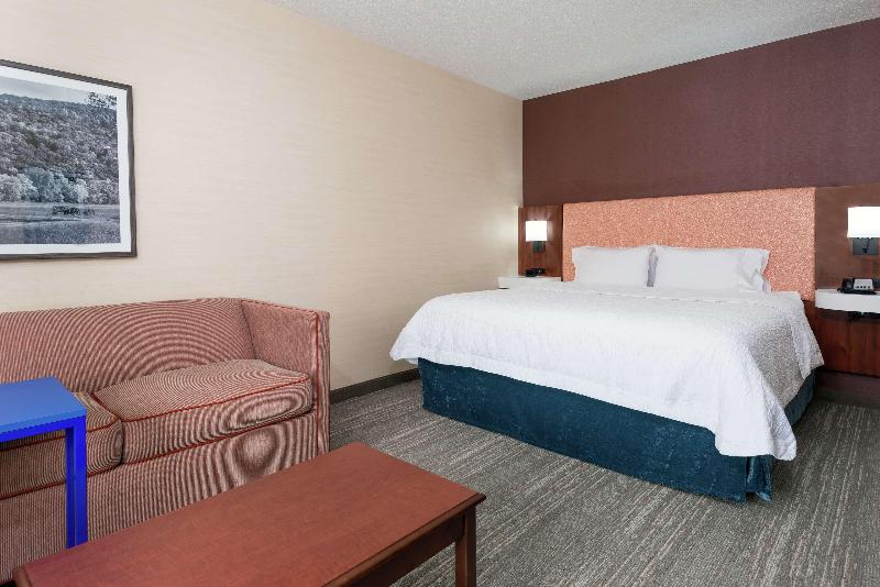 استودیو استاندارد با تخت کینگ, Hampton Inn Springfield South Enfield