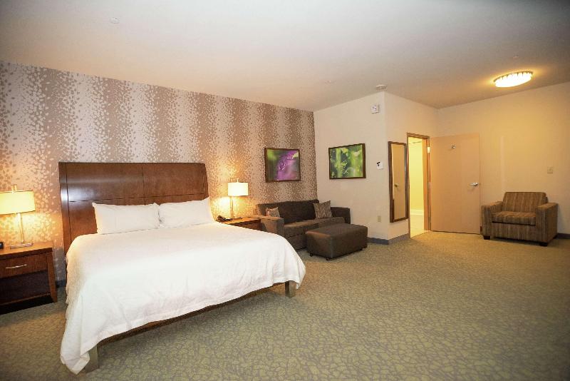 带大床的标准间, Hilton Garden Inn Covington