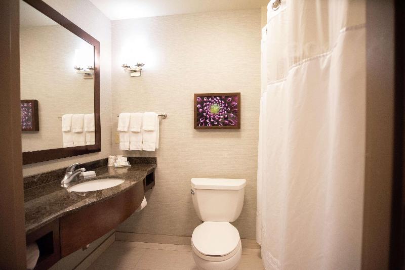 스탠다드 룸 킹사이즈 침대, Hilton Garden Inn Covington