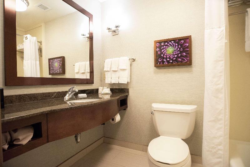带大床的标准间, Hilton Garden Inn Covington