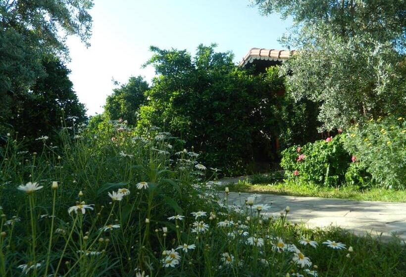 بانگلوی استاندارد, Ugur Pansiyon Bungalows