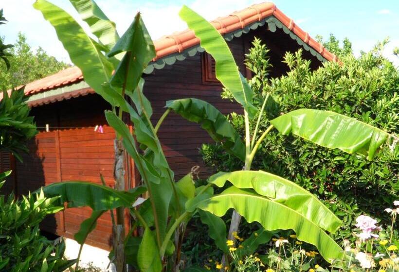 بانگلوی استاندارد, Ugur Pansiyon Bungalows
