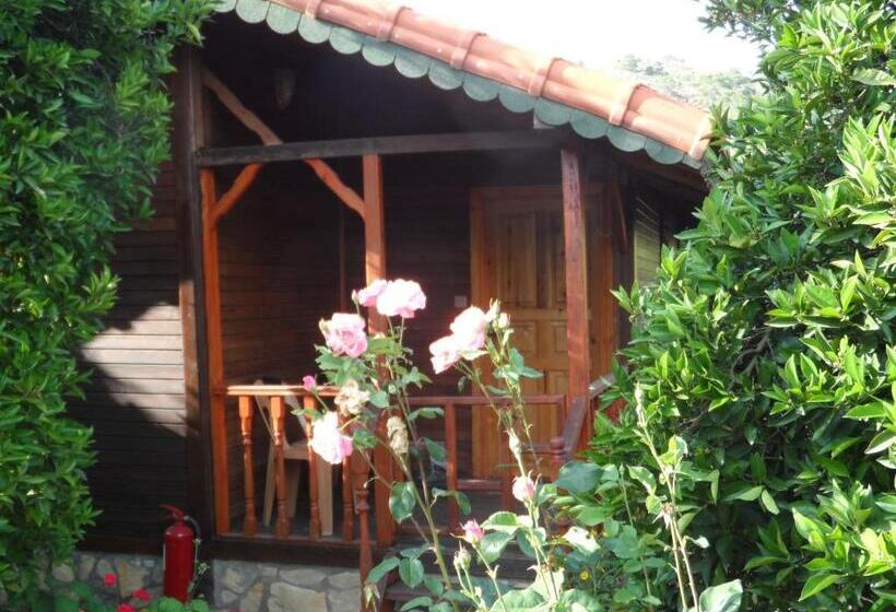 بانگلوی استاندارد, Ugur Pansiyon Bungalows