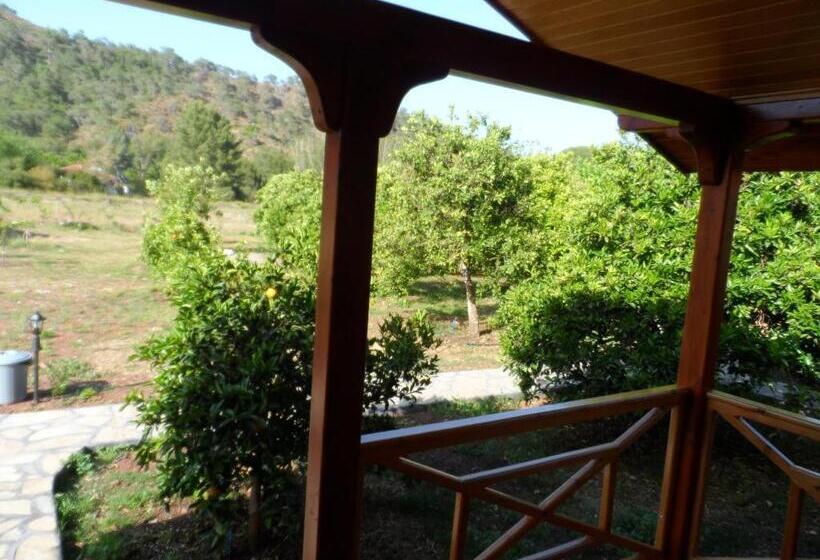 بنگله خانوادگی, Ugur Pansiyon Bungalows