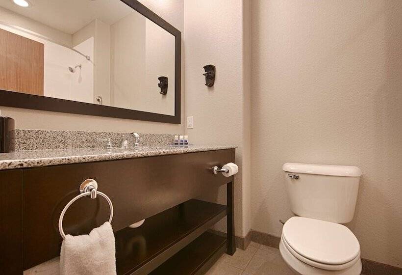 Люкс, Best Western Plus Sand Bass Inn And Suites
