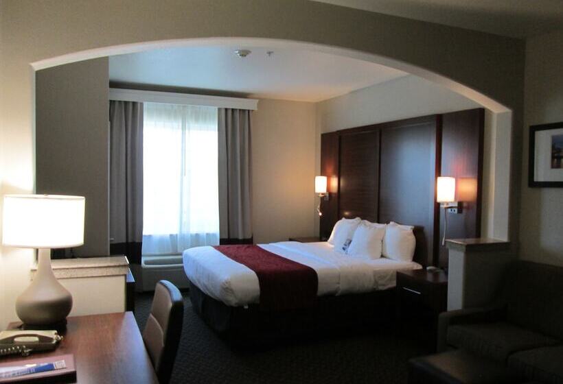 Номер Стандарт, Comfort Inn & Suites Galt   Lodi North