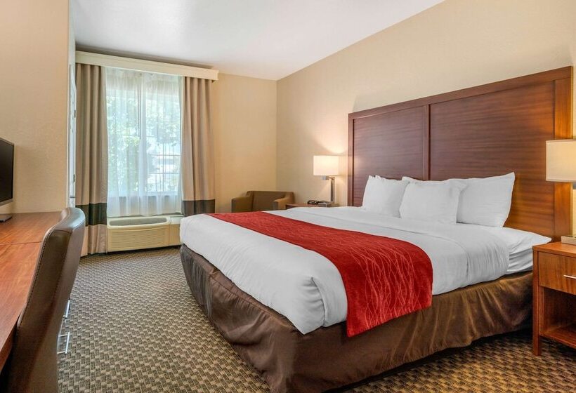 Номер Стандарт, Comfort Inn & Suites Galt   Lodi North