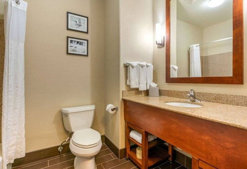 Люкс, Comfort Inn & Suites Galt   Lodi North