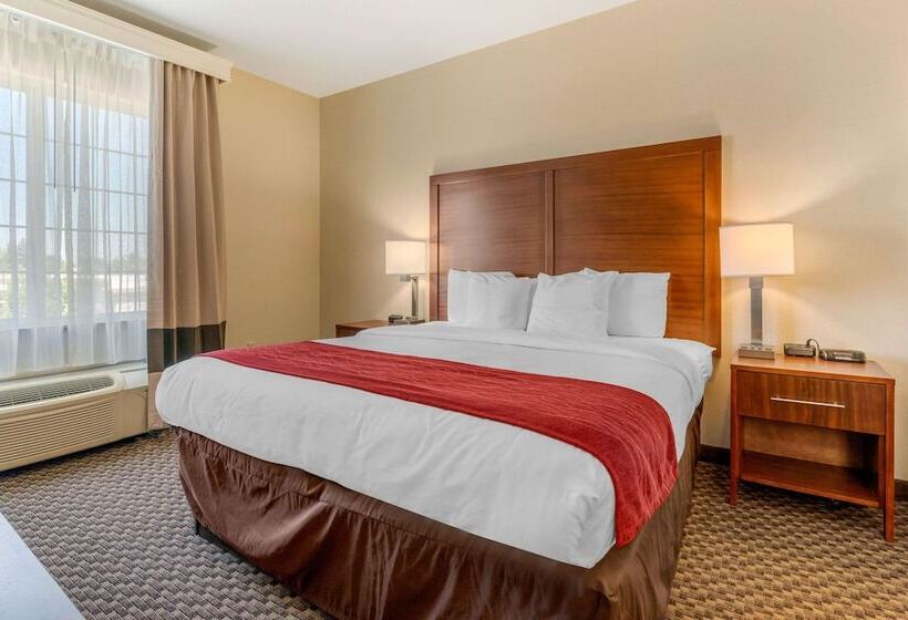 Люкс, Comfort Inn & Suites Galt   Lodi North