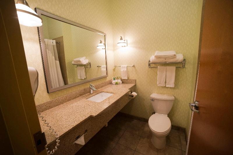 Номер Стандарт, Holiday Inn Express Hotel & Suites Atlanta East   Lithonia, An Ihg