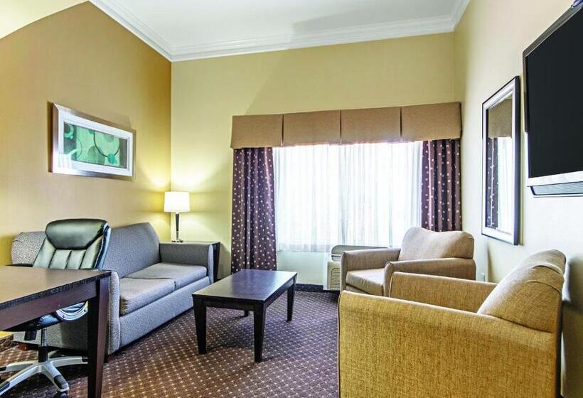 이그제큐티브 룸 킹사이즈 침대, La Quinta By Wyndham Houston New Caney