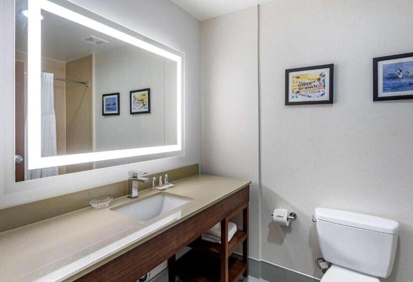 스위트 킹사이즈 침대, Comfort Suites Olive Branch   Memphis South