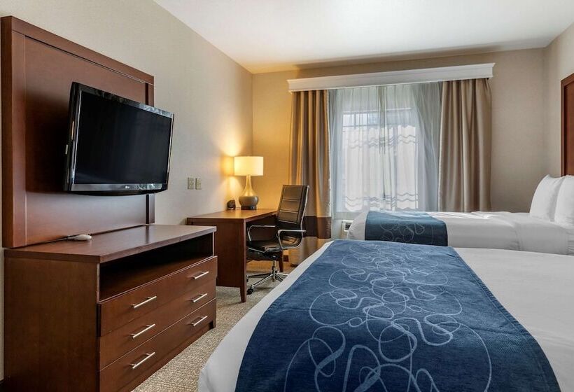 Люкс, Comfort Suites