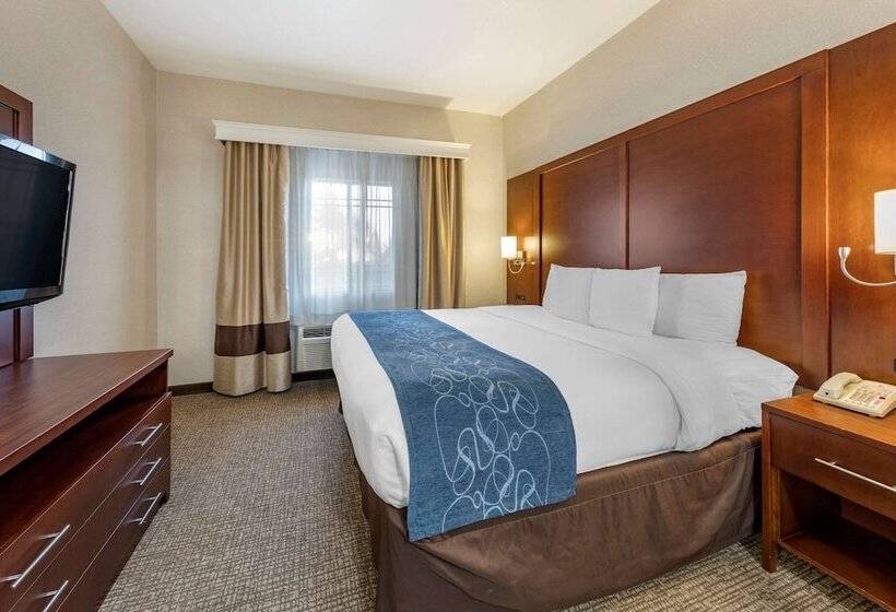 Люкс, Comfort Suites