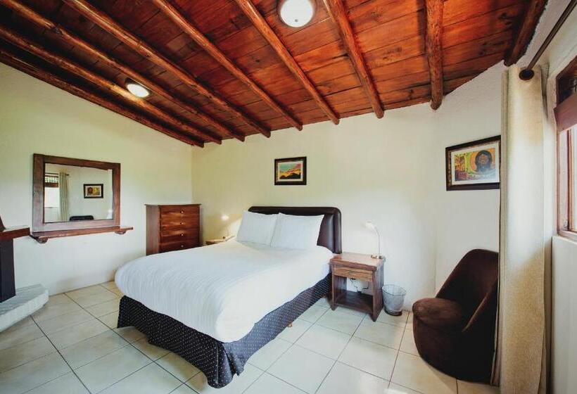 اتاق استاندارد, Loto Azul Hotel & Spa