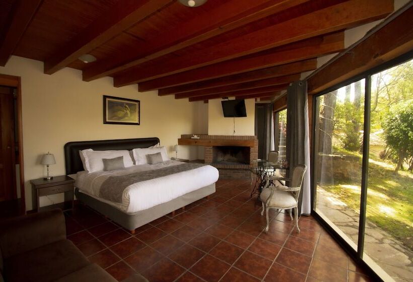 سوییت جونیور, Loto Azul Hotel & Spa
