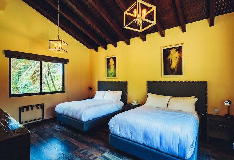 سوییت, Loto Azul Hotel & Spa