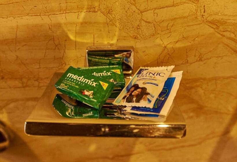 Номер Deluxe, Disha Palace