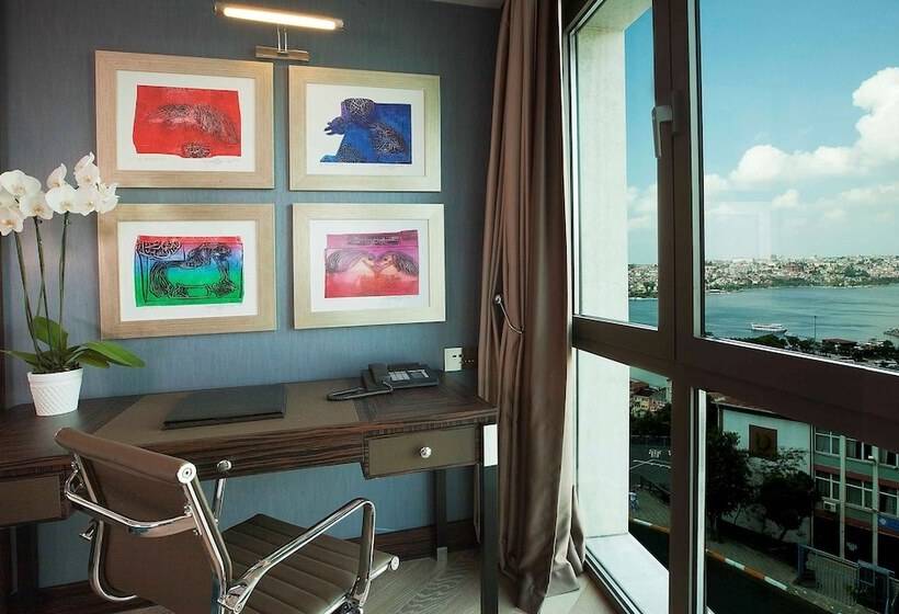 اتاق اجرایی, Radisson Blu Hotel Istanbul Pera