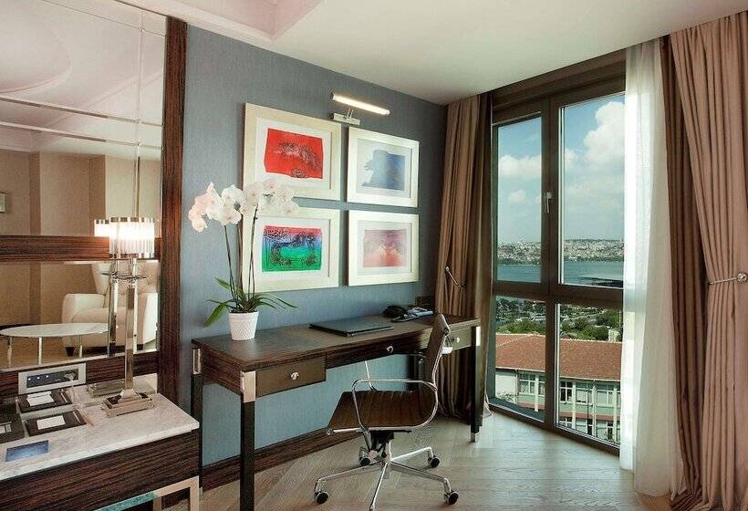 اتاق اجرایی, Radisson Blu Hotel Istanbul Pera
