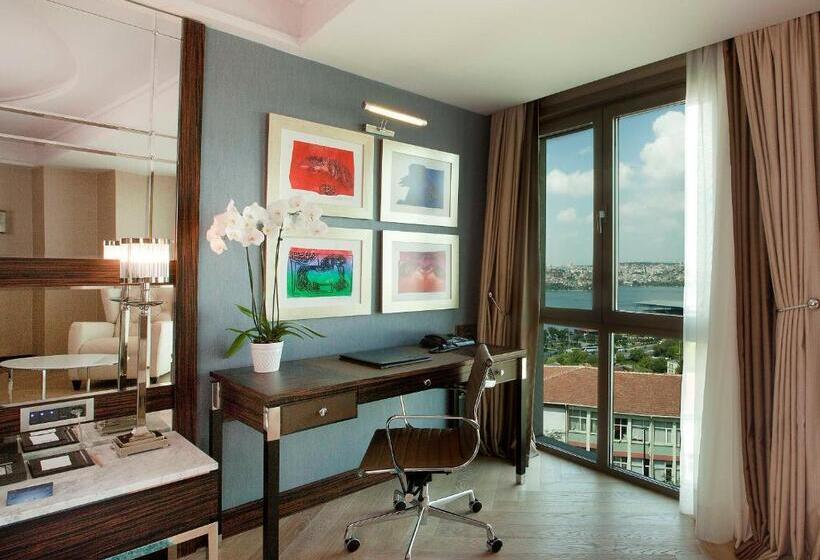 اتاق اجرایی با مشاهده, Radisson Blu Hotel Istanbul Pera