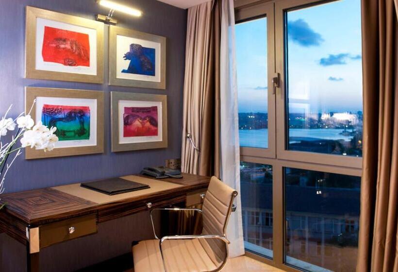 اتاق اجرایی با مشاهده, Radisson Blu Hotel Istanbul Pera
