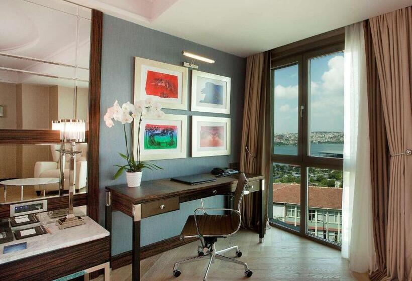 اتاق اجرایی, Radisson Blu Hotel Istanbul Pera