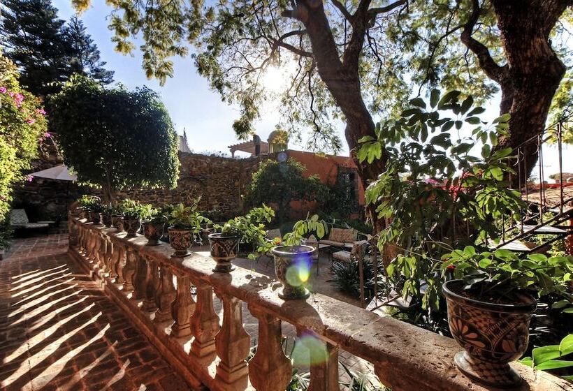 اتاق استاندارد, Casa Schuck Boutique