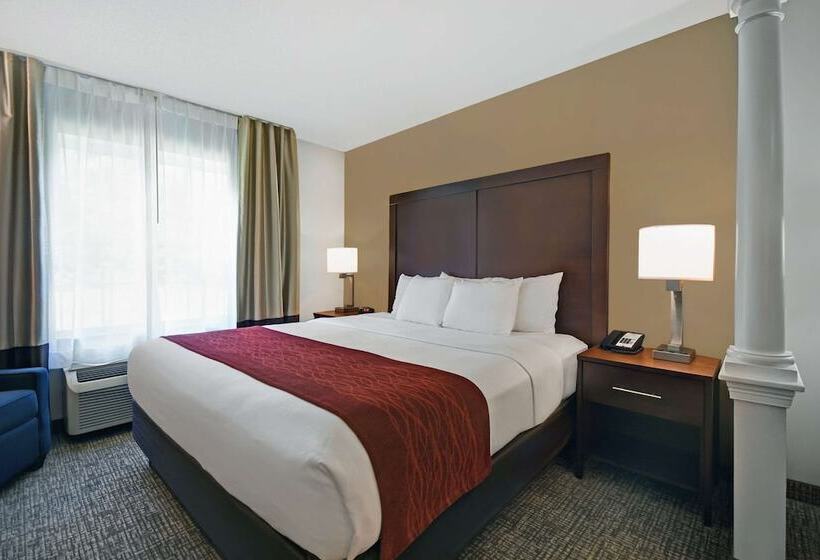 Люкс, Comfort Inn & Suites