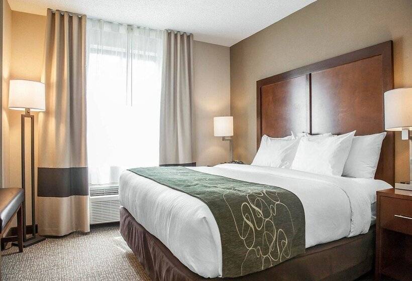 Люкс, Comfort Suites West Warwick  Providence