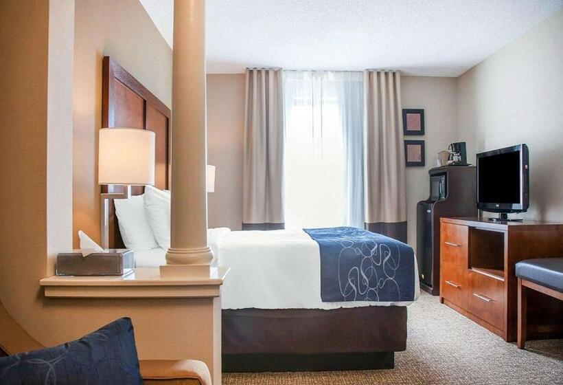 Люкс Адаптированный для Инвалидов, Comfort Suites West Warwick  Providence
