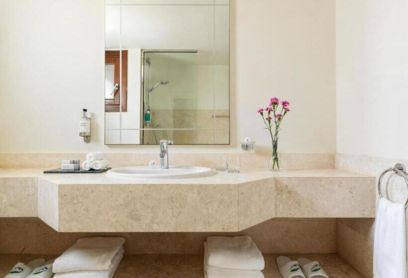 اتاق سوپریور, Juweira Boutique Hotel Adult Only