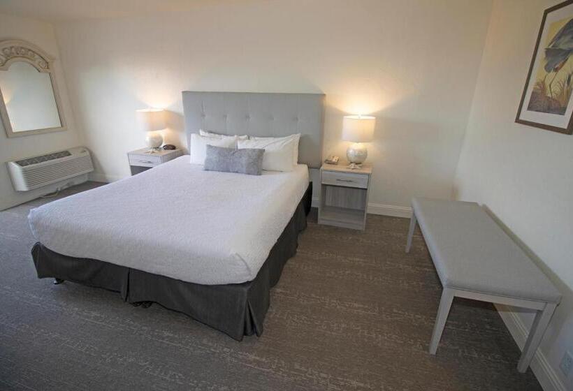 Стандартный Номер Кровать Кинг, La Serena Inn
