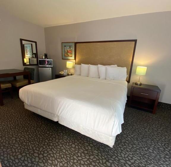 스탠다드 룸 킹사이즈 침대, Morro Shores Inn And Suites